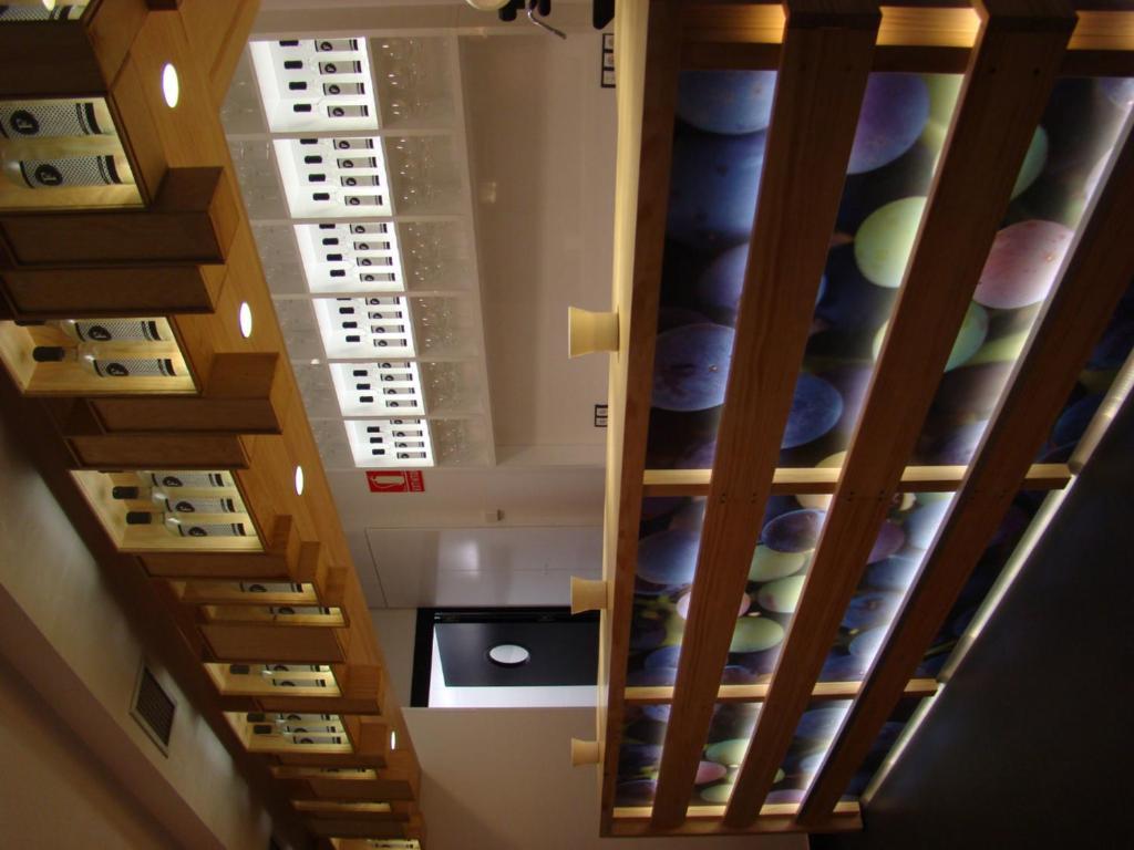 Hotel Forum Evolucion 3*